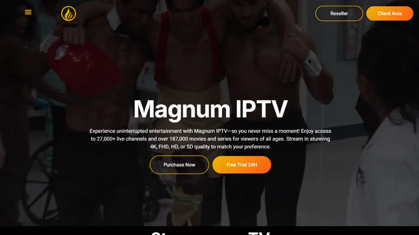 magnum iptv website (1)